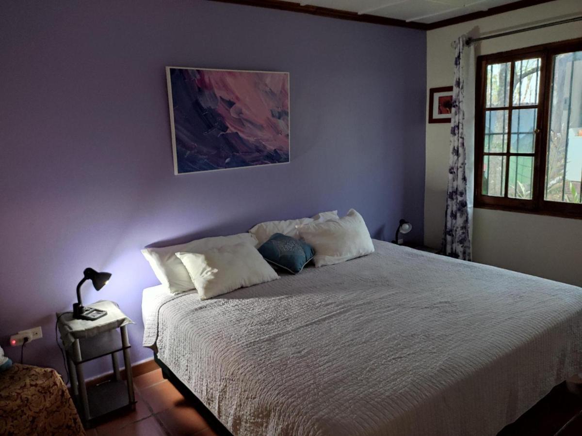 بوكيتي La Jungla Experience Lodgings - Vacation Home And Apartment المظهر الخارجي الصورة