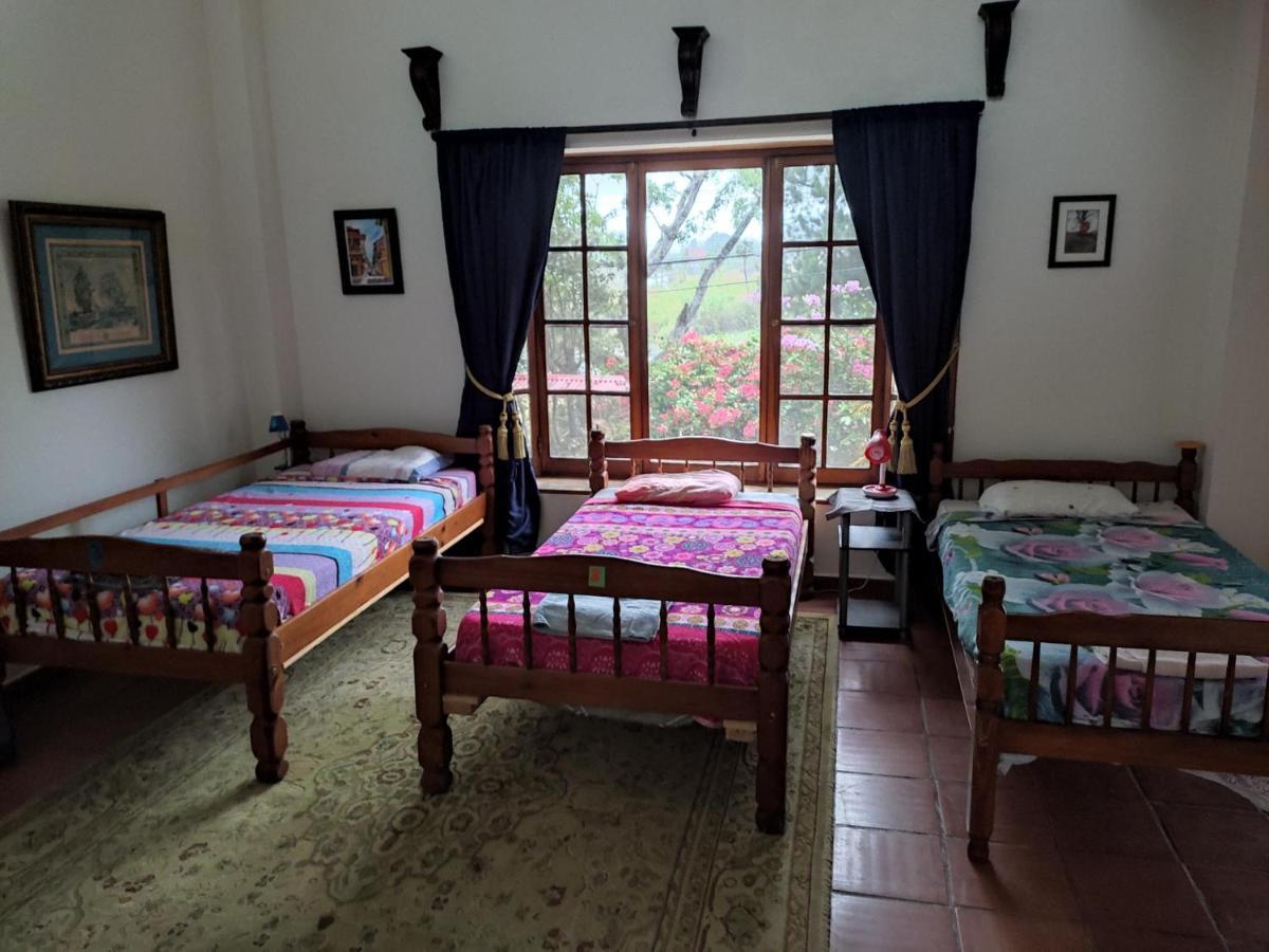 بوكيتي La Jungla Experience Lodgings - Vacation Home And Apartment المظهر الخارجي الصورة